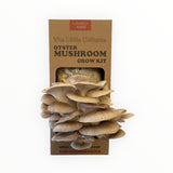 The Little Universe Mushroom Grow Kit