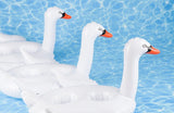 DOIY Swan Inflatable Drink Holder